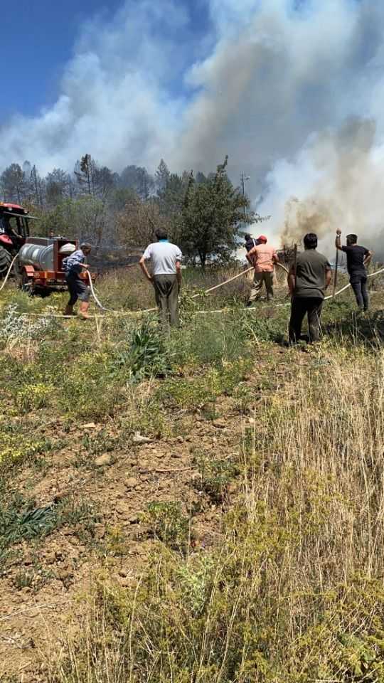 Karaman'daki ormanlık alanda yangın başladı!